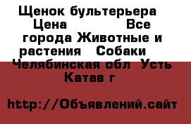 Щенок бультерьера › Цена ­ 35 000 - Все города Животные и растения » Собаки   . Челябинская обл.,Усть-Катав г.